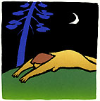 &copy; Claire Kujundzic