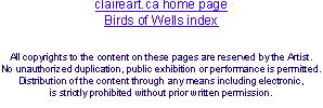 claireart.ca home page Birds of Wells index   A